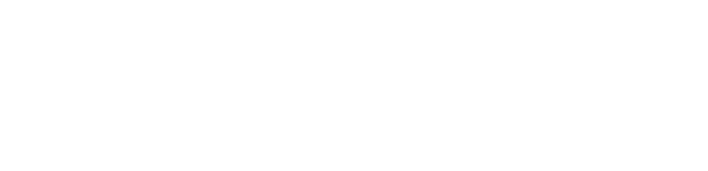 0logoipsum-262-1.png